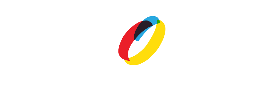 LAYOUT SOLUTION LLC